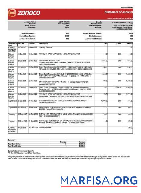Printable Zambia Zanaco bank statement of account word template